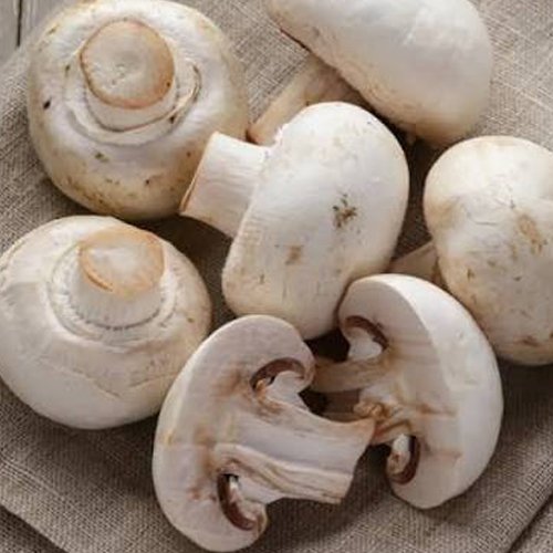 Mushrooms & Eggs